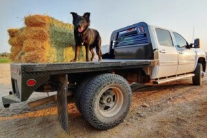 Norstar SR flat bed for pickup truck