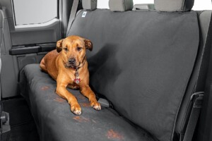 Brown dog lying on black car seat cover